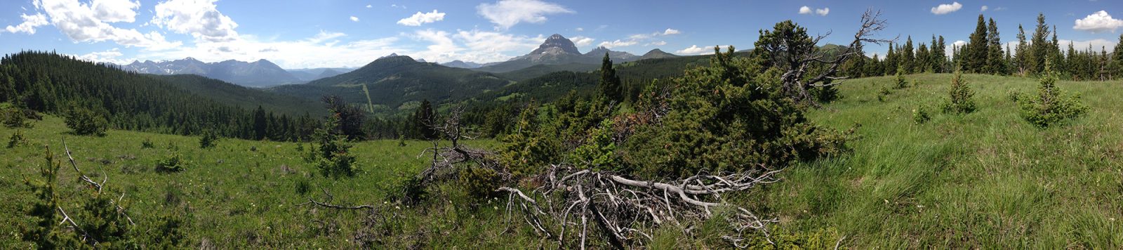 Crowsnest Mountain and the 7 Sisters