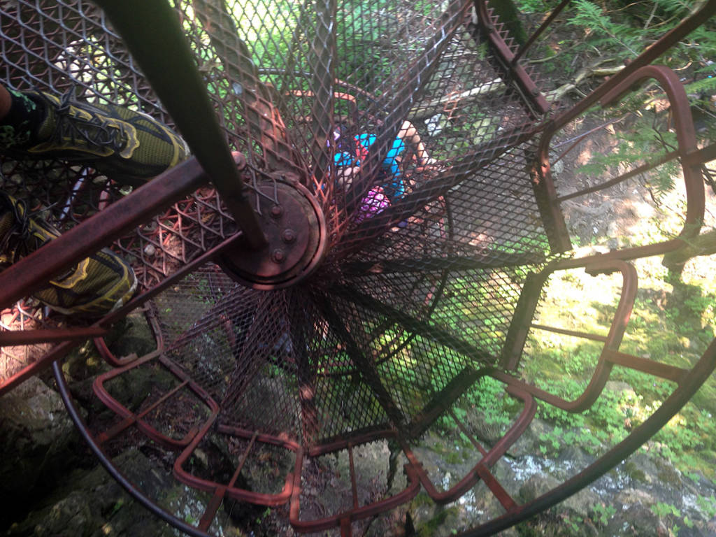 Spiral Staircase down a Bruce Trail cliff