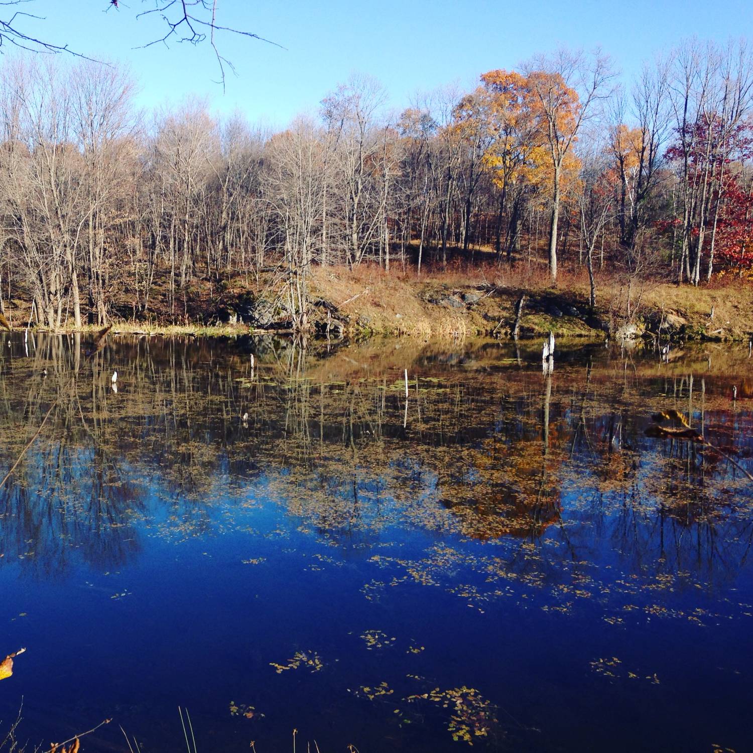 Lakes on the Trail